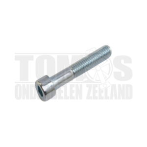 Inbusbout M8x45 voor kroonstuk nieuw model voorvork