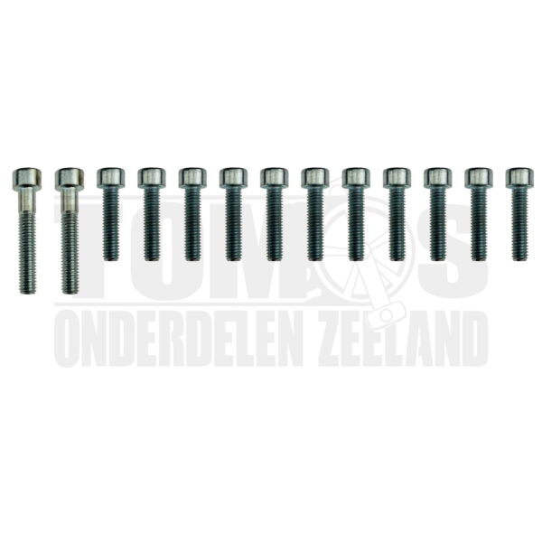 Tomos Motorblok boutenset inbusbout carter compleet 19-delig A35 / A52 / A55