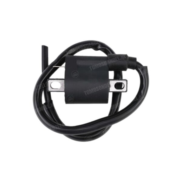 Ontsteking binnenrotor HPI 068 bobine